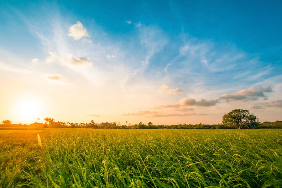 Wat is een zonneboiler?